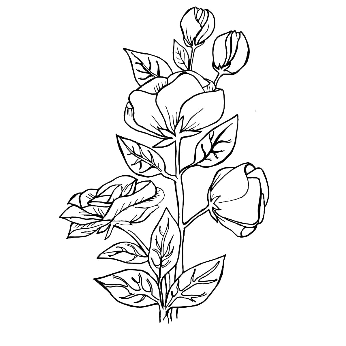 Valkoinen UNISEX T-paita Ruusun oksa